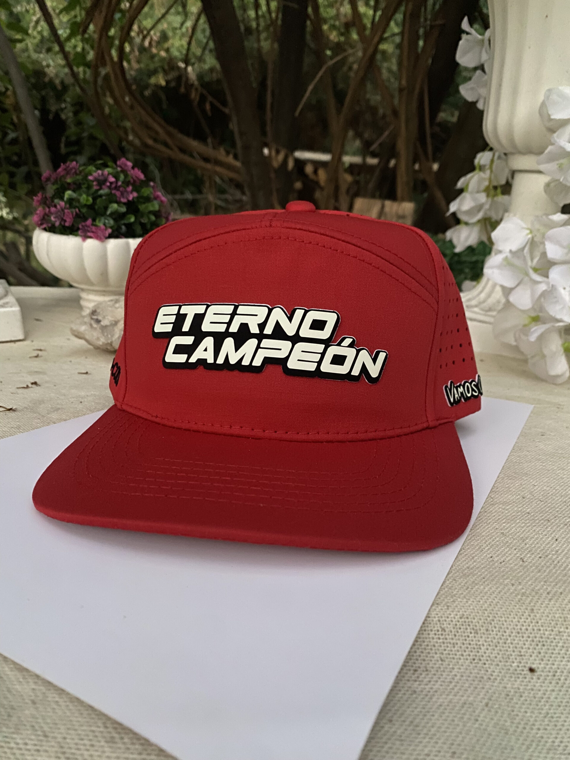 Eterno Campeón + Dale Cacique + 3 REGALOS a elección - Imagen 6