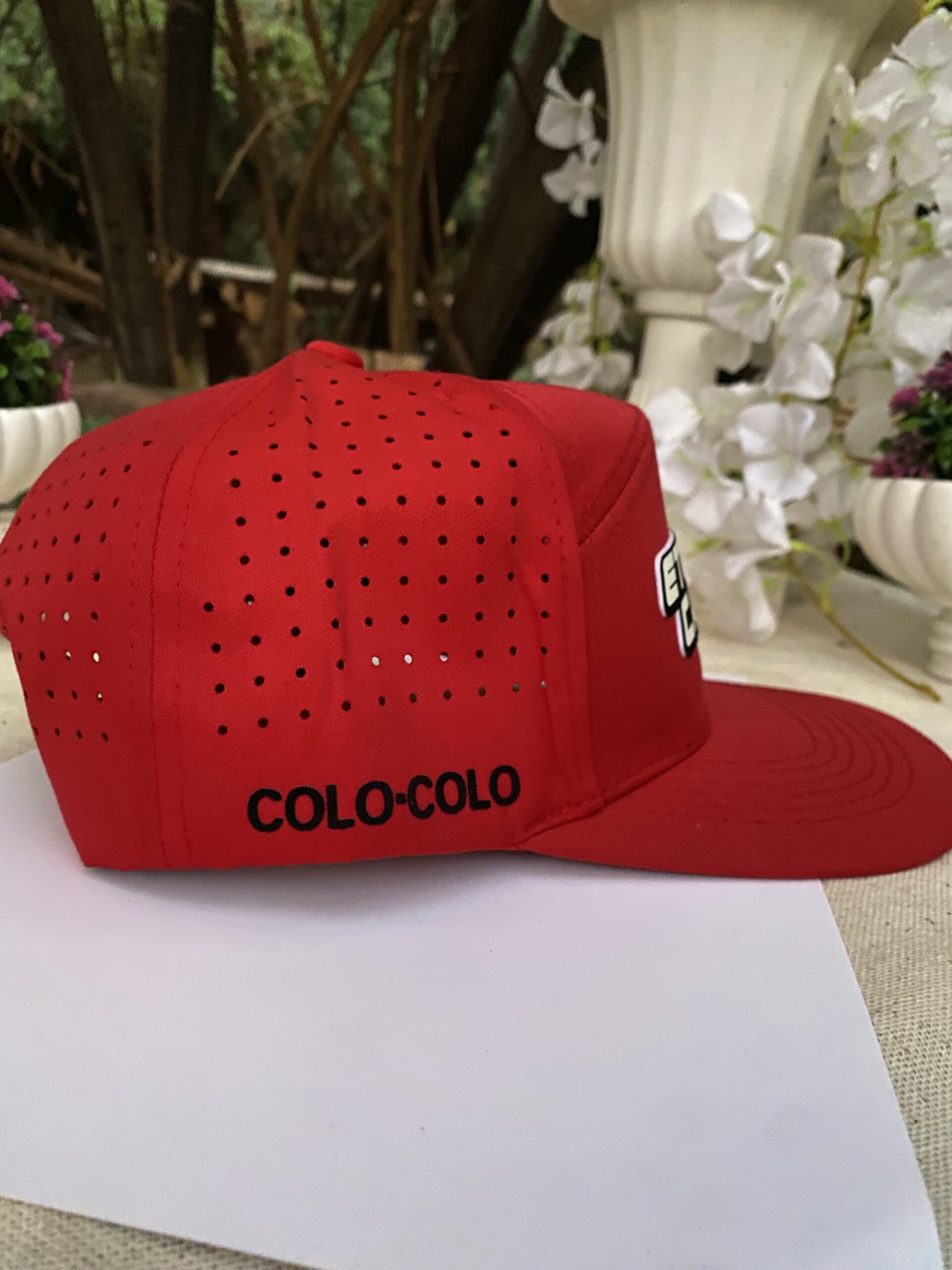 Eterno Campeón + Dale Cacique + 3 REGALOS a elección - Imagen 7